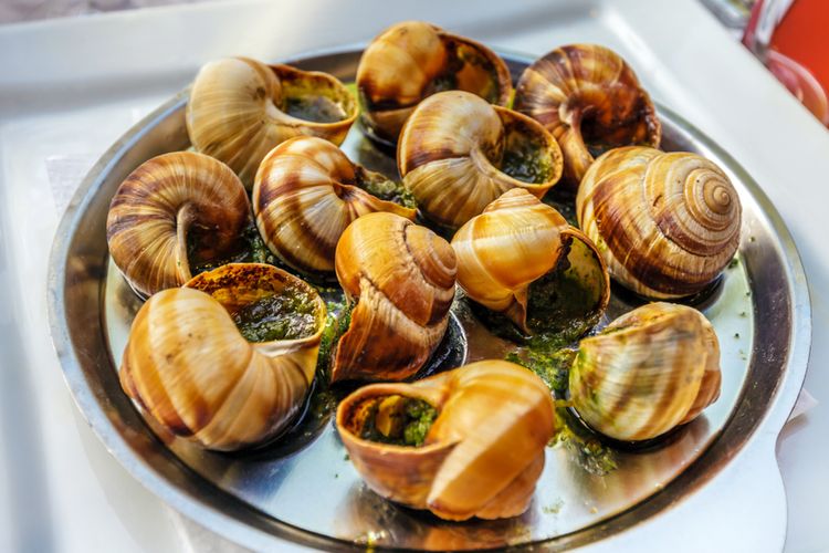 Escargot, Makanan Khas Perancis Bernutrisi dan Baik untuk Kesehatan