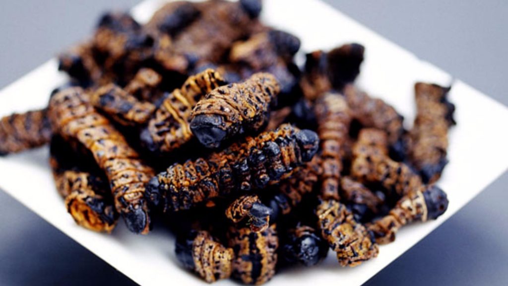 Keripik Mopane, Kuliner Ekstrem Khas Zimbabwe dari Cacing